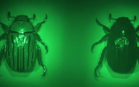 材料前沿最新综述精选(2017年10月第3周)