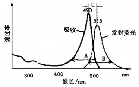 干货丨荧光与荧光显微镜知识点梳理