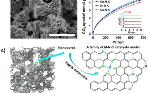 二氧化碳催化转化进展：过渡金属-氮-共掺杂型多孔碳电催化二氧化碳的活性及选择性规律揭示