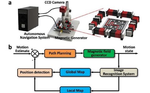 哈工大张广玉、李隆球教授:在磁控微纳机器人研究方面取得新进展