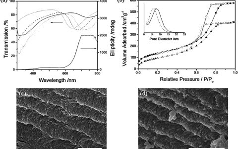 Adv. Funct. Mater.：光学特性的独立手性介孔有机硅薄膜