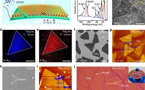 北京大学张艳锋Nat. Commun.：化学气相沉积法制备二硫化钽薄膜