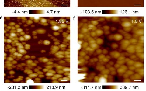 Angew. Chem. Int. Ed.：锂硫电池中正极/电解液界面高温形成功能性薄膜的原位AFM研究