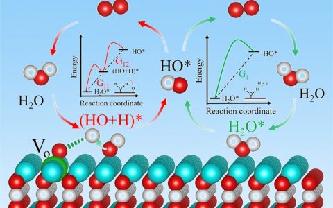 Nano Energy：双作用位点在氧化钴电解水过程中发挥协同效应