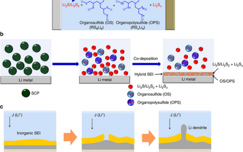 Nature子刊：有机可塑化固体电解质界面层提升长循环后锂硫电池锂负极稳定性
