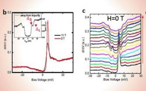 南大闻海虎教授团队：在铁基超导机理研究方面取得重要进展