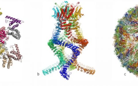 2017年诺贝尔化学奖：冷冻电子显微镜