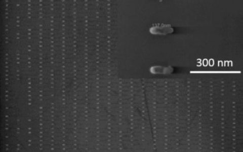 等离子体纳米天线的阵列可驱动新一代荧光传感器发展