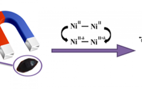厦门大学Adv. Mater.：MOF的室温巨磁介电响应