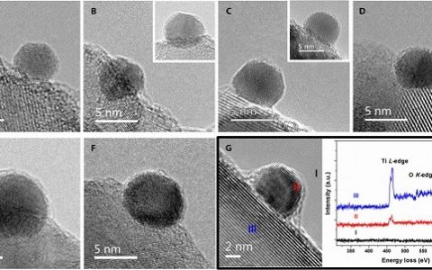 Science Advances : 金纳米粒子与二氧化钛之间强相互作用（SMSI）的系统研究