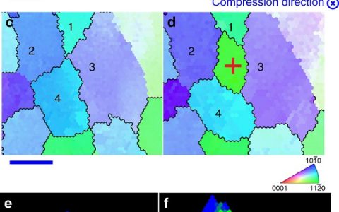 Nat.Commun：室温下具有超高成形性的纯镁