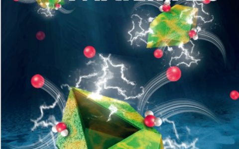 天津大学&加州大学河滨分校AFM内封面文章：  自模板制备CoO-MoO2 纳米笼用于析氧反应