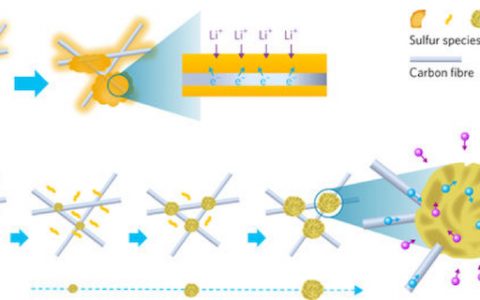 Nature Energy：含硫物种的可控形核与生长策略助力高性能锂硫电池——突破碳封装硫正极的传统概念！