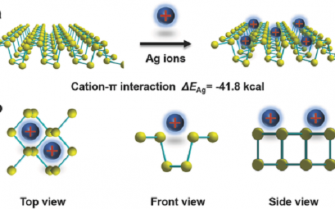 Adv. Mater. ：金属离子修饰黑磷能显著增强其稳定性和晶体管性能
