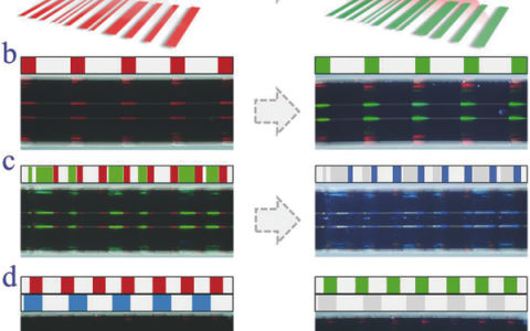 Adv. Mater.: 基于毛细作用,组装彩色条码
