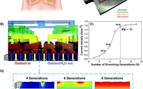 Energy Environ. Sci.: 仿生肺燃料电池