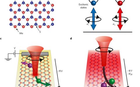 Nature Materials :单层MoS2中激子霍尔效应