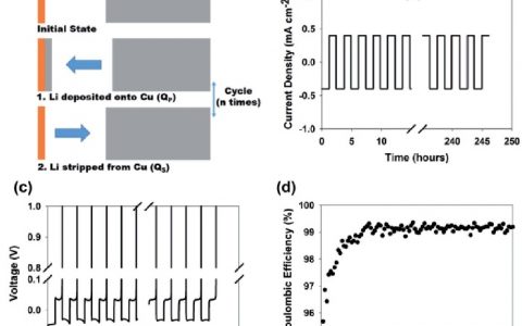 Adv. Energy. Mater：精确测定金属锂负极和金属锂电池的库伦效率