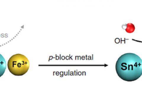 清华张强Nat. Commun: p区金属调控下富表面缺陷的钙钛矿氢氧化物-超越IrO2的电催化析氧性能
