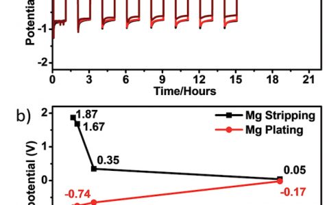 王春生&李伟善Adv. Energy. Mater：高效降低镁负极过电势的MgI2 SEI膜-为可充镁二次电池的应用扫除障碍