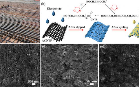 Energ. Environ. Sci.：酸化碳纳米管纸诱导阳离子原位聚合生成的固态电解质提升锂硫电池的循环寿命
