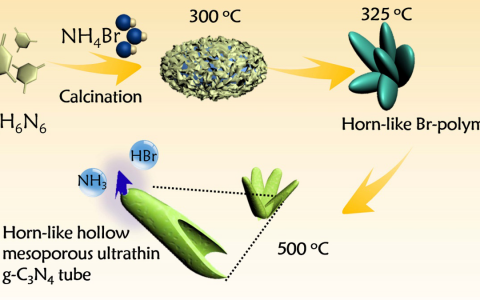 张以河&黄洪伟丨Nano Energy:空间电荷各向异性分离的牛角状中空多孔g-C3N4
