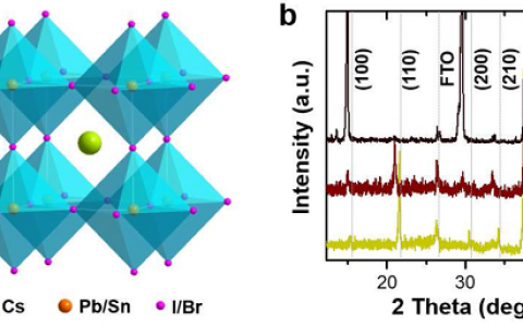 南京大学金钟、刘杰团队:在全无机钙钛矿太阳能电池方面取得新进展