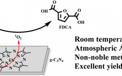 中南民族大学在生物质转化方面取得重大进展