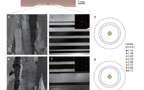 金属所卢磊Nature:与疲劳历史无关的纳米孪晶金属循环响应