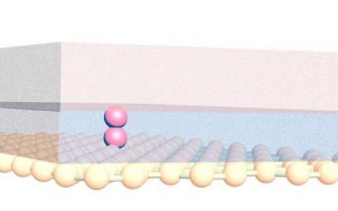 Adv. Mater.：仅原子厚度且超低功耗的忆阻器