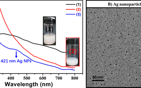 Macromolecules：RAFT分散聚合原位合成coil-coil型两嵌段共聚物纳米管和管状Ag/聚合物纳米复合材料