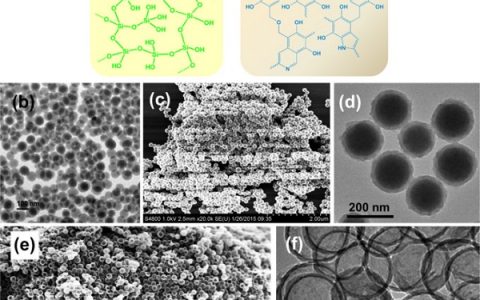 复旦大学赵东元Nano Energy：N掺杂的中空碳微球实现无金属类全固态钠离子电容器