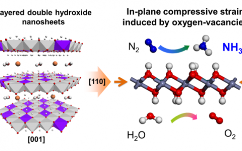 中科院理化所张铁锐 | Adv. Mater. : 水滑石用于高效可见光催化固氮合成氨