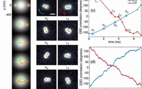 Nano Letters:二聚物纳米粒子结合电子的自旋和负转矩
