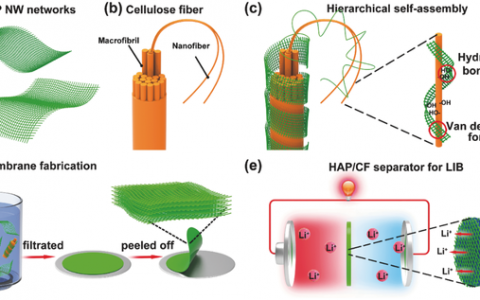 中科院上硅所&华中科技Advanced Materials：羟基磷灰石纳米线助力高柔性高润湿性和耐高温阻燃隔膜-打造先进锂离子电池