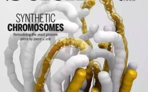 “严肃”的期刊封面已经被科学家们“玩”坏了！