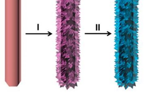 楼雄文J. Am. Chem. Soc. : In2S3−CdIn2S4分级异质结构纳米管用于高效稳定可见光还原CO2