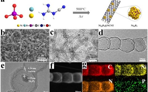 Nano Energy：一种光响应的双功能电催化剂用于氧还原和进化反应