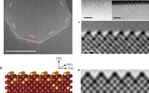 宾汉姆顿大学Nat. Mater.:位错成核新机理-原子的偏析