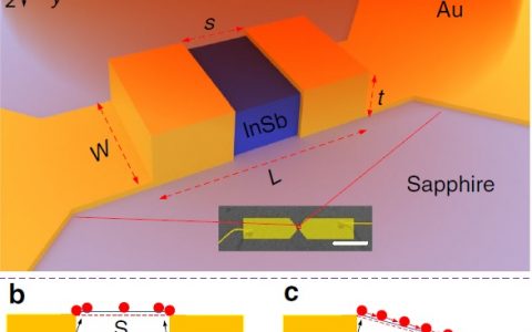 中科院上海技术物理所&南洋理工Nat. Commun.:表面等离子体诱导长波光子探测