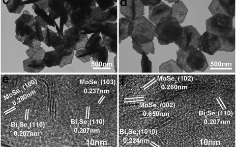 Adv Funct Mater：MoSe2/Bi2Se3六方纳米片准平面杂化结构的研究