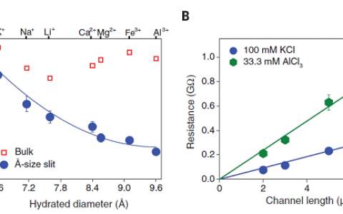 西南交通大学：发现埃级别狭缝中离子的传输机理