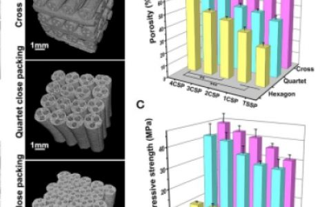 上海硅酸盐所吴成铁与常江团队等:制备出3D打印仿生莲藕支架
