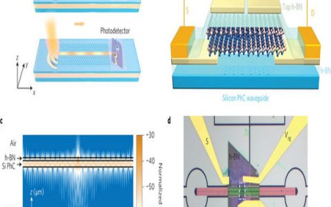 Nature Nanotechnology:用于硅光子集成电路的碲化钼基发光二极管和光电探测器