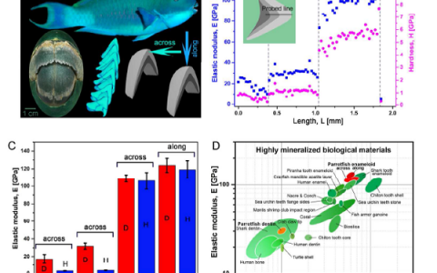 纳米材料前沿研究成果精选【第3期】