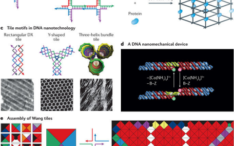 材料前沿最新综述精选(2017年11月第2周)