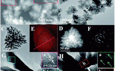 陕师大Chemical Science：聚乙胺功能化的铂纳米超结构: 形态和界面调控提高析氢反应性能
