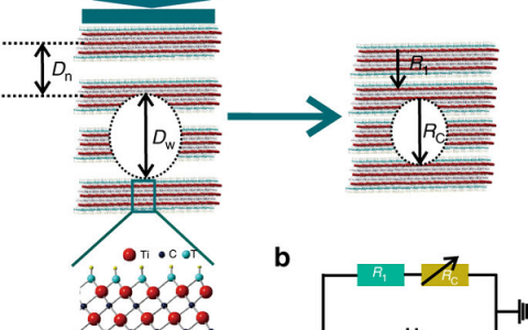 高义华教授团队：制备出一种高灵敏柔性压阻传感器
