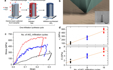 Nano Lett. : 在金属氧化物渗透图案化杂化聚合物纳米复合材料中的超高弹性应变储能