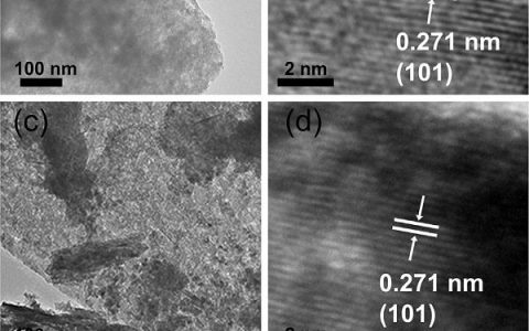 汪乐余Sci. Bull.：三维Ni-Co-Se纳米网状阵列结构作为高效的OER催化剂